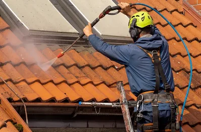 Démoussage et hydrofuge de toiture à Pruniers