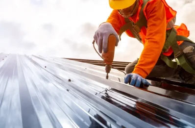 Travaux de zinguerie à Pruniers